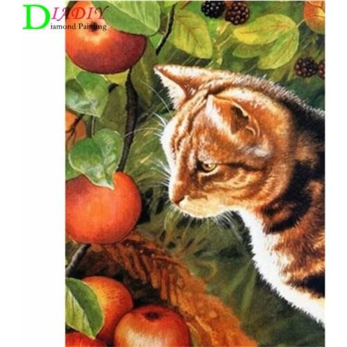 NEW Full Square Diamond Painting Cat 5D Diy Diamond Embroidery Animal Mosaic Picture Of Rhinestone Home Decoration Girl Hobby