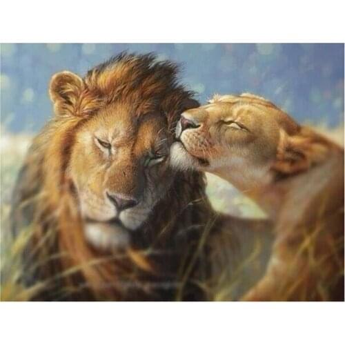Frameless diy paintings by numbers wall decor picture oil painting on canvas for home decor 4050cm the love of lion