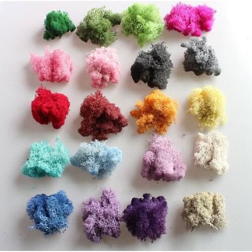 1 Pack Colorful Natural Norwegian Moss Preserved Dried Craft Flower Stamen Decoration Wedding Ornament Fairy Garden Muscus Decor