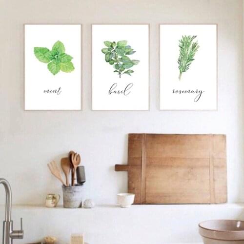 Watercolor Herbs Basil Mint Posters and Prints Kitchen Decor , Green Plant Rosemary Pictures Botanical Wall Art Canvas Painting