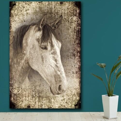 Large size Printing one handsome white horse beautful 3 wall art canvas print pictures for living room and bedroom No Frame