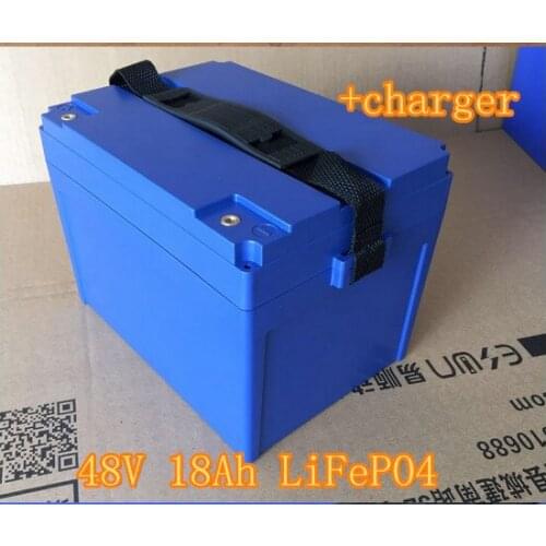 16S 48V 18Ah LiFepo4 battery pack for Electric bike electric scooter motorbike Electric Rickshaw Unicycle+Charger