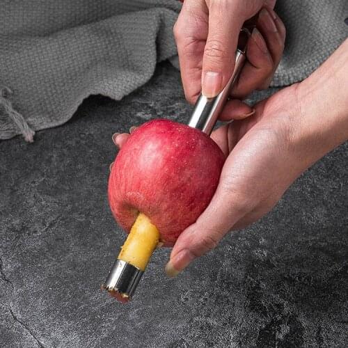 Fruit enucleator stainless steel hawthorn red jujube enucleated apple enucleation core-pulling kitchen vegetable tools wholesale