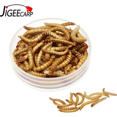 JIGEECARP 1Bottle 15g N.W 100% Natural Carp Fishing Dried Bread Worms Boxed Dried Mealworms For Carp Fishing Feed Pet Food