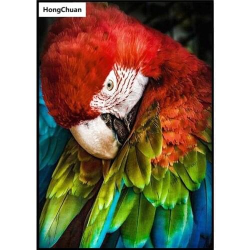 Parrot Animal 5D DIY Full Square/Round Diamond Painting Diamond Embroidery Diamond Cross Stitch Home Decoration Mural Gift