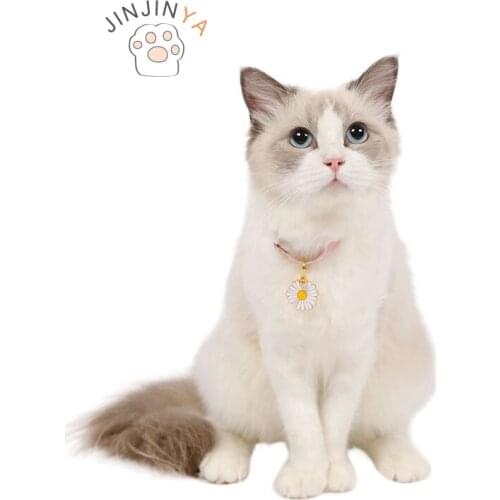 Одежда для кошек JINJINYA China At AliExpress