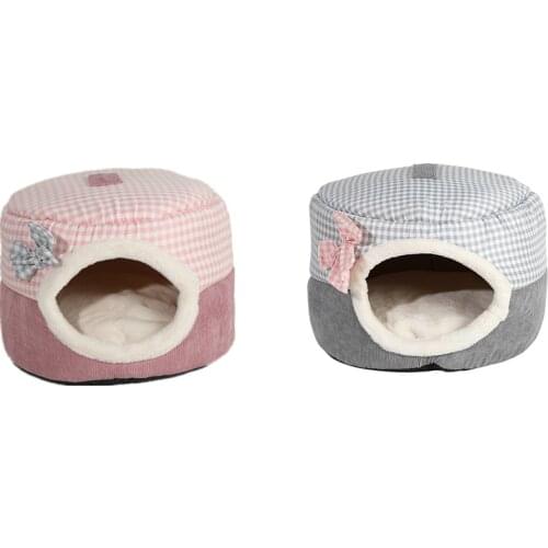 Accompany Products For Dogs