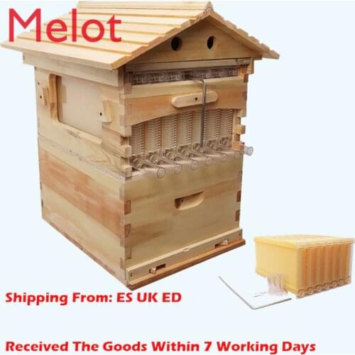 Automatic Honey Bee Hive House Honey Collection Wooden Food Grade Box Bee Hive Frame Beehive Box Beekeeping Box Tools Supplies