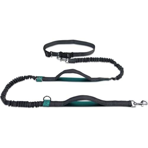 Pet leash portable running reflective double retractable dog leash dog chain leash pet supplies