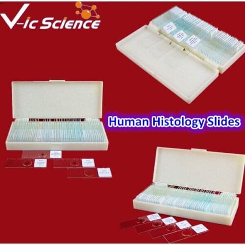 100pcs Meidical Human Histology slides