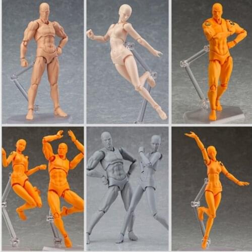Figma BODY KUN BODY CHAN Action Figure Archetype He She Ferrite Collectible Model Toy with Stand