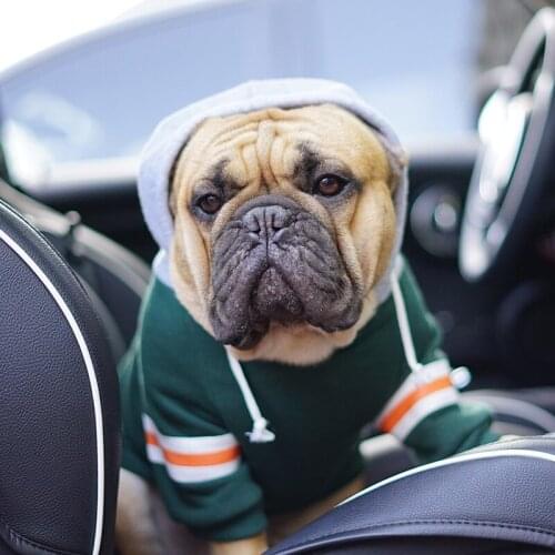 Pet Dog Clothes Dog Grandy Hoodie for French Bulldog Cute French Bulldog Clothes Dog Hoodie Puppy Clothes for Small Dog Dropship