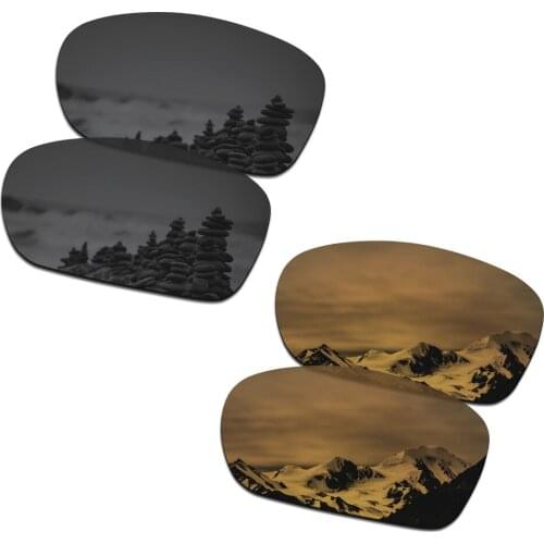 SmartVLT 2 Pairs Polarized Sunglasses Replacement Lenses for Oakley Dispute Stealth Black and Bronze Gold
