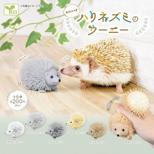 Japan Original Genuine Capsule toys cute kawaii pet Hedgehog soft squeeze Stress Relief toys models gashapon figures