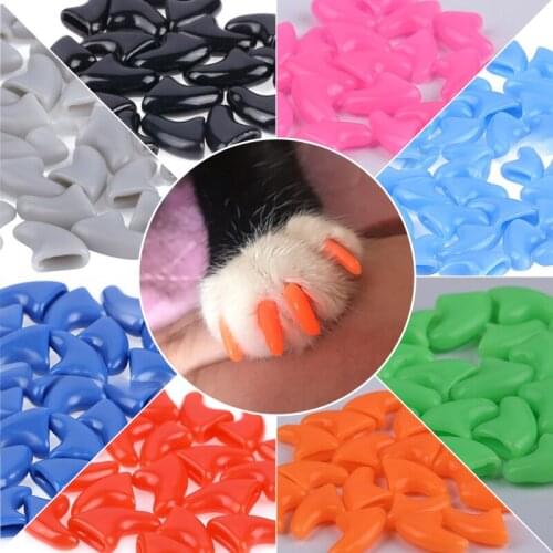 Wholesale Cats Kitten Paws Grooming Nail Claw Caps + Adhesive Glue + Applicator Rubber Pet Nail Cover/Paws Caps Pet Cat Supplies