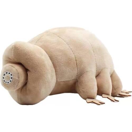 25cm Water Bear Plush Toy Kawaii Soft Stuffed Tardigrade Animal Plushie Doll for Kids Birthday Christmas Educational Gifts
