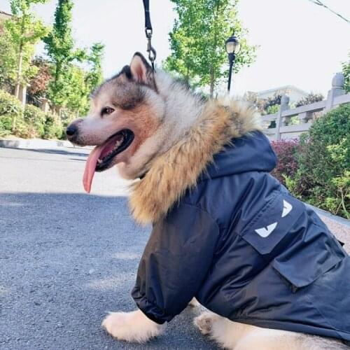 Winter Dog Coat Jacket Large Pet Outfit Pug French Bulldog Corgi Shiba Inu Samoyed Husky Golden Retriever Big Dog Clothing