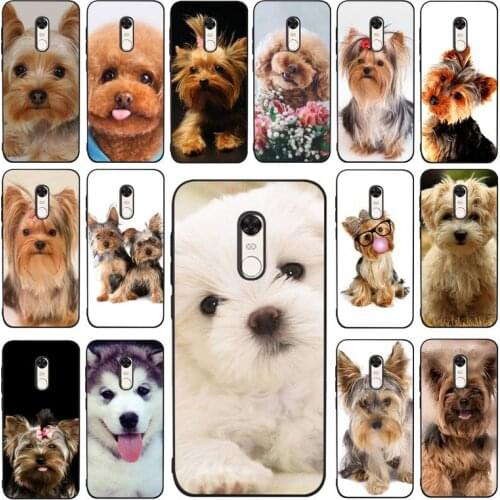 Yinuoda Yorkshire terrier dog Newest Fashion Phone Case for RedMi 4X 5 plus 5 6 7 8 9 A 6pro Go K20 case
