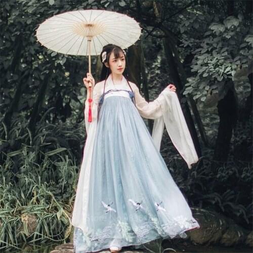 Hanfu Dress Women Fairy Traditional Chinese Costume Crane Print Vintage New Year Clothes Folk Dance Chinese Princess Cosplay