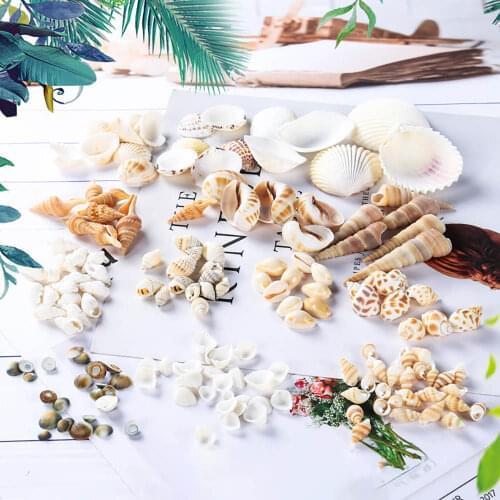 1bag Charms Ocean Shell Conch Crystal Epoxy Filler Jewelry Fillings DIY Handmade River Snail Shell Stuff Resin Craft Accessory