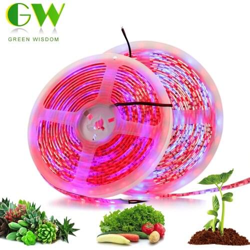 Green Wisdom Phytolamps For Plants