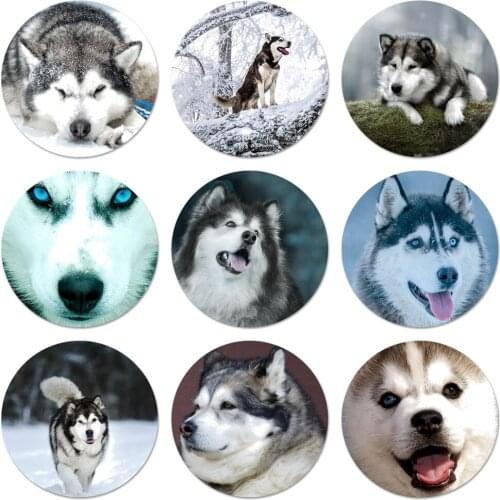 Alaskan Malamute Siberian husky dog Icons Pins Badge Decoration Brooches Metal Badges For Clothes Backpack Decoration 58mm