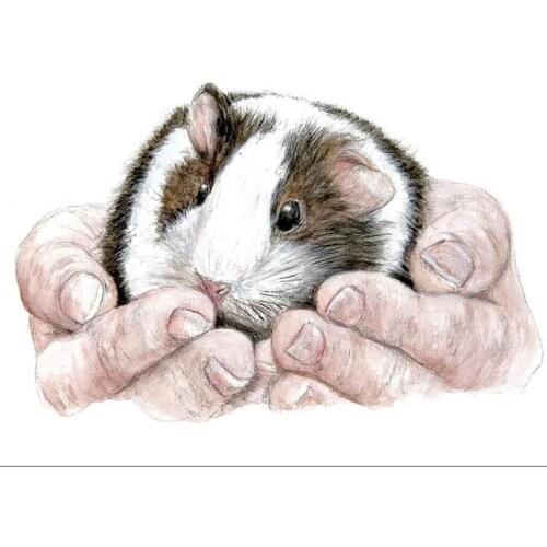 Full Diamond Embroidery Guinea Pig hand 5D Diy Diamond Painting Cross Stitch mozaik puzzle home decoration wall sticker L76