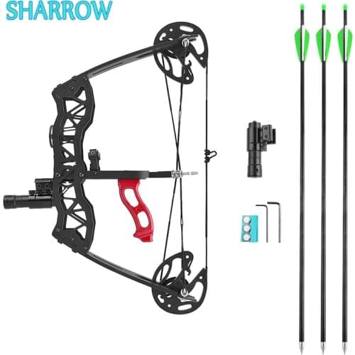 Mini Compound Bow Arrows Set 40lbs Hunting Bowfishing Archery Right Left Hand Bows For Hunting Shooting Bow Fishing Equipments