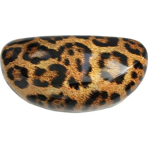 Sunglasses Cases Leopard Panthera Cat Rigid Sunglasses Case Box Case Fashion Chic Boxes