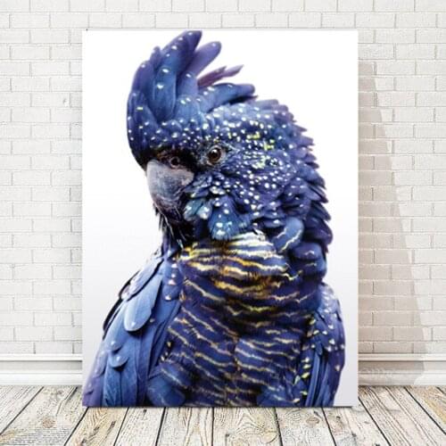 Australian Bird Print Parrot Bird on Branches Wood Landscape Oil Painting on Canvas Poster Print Wall art decor your living room