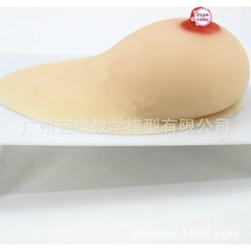 Lactation Unilateral Silicone Breast Model Prolactin Division Ducational Training Equipment Prolactin Training Medical Teaching