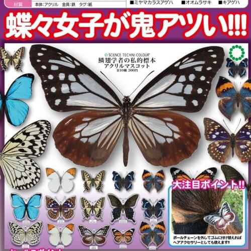Japan IKIMON Gashapon Capsule Toys Simulation Animal Insect Pendant Acrylic Butterfly Specimen Pendant