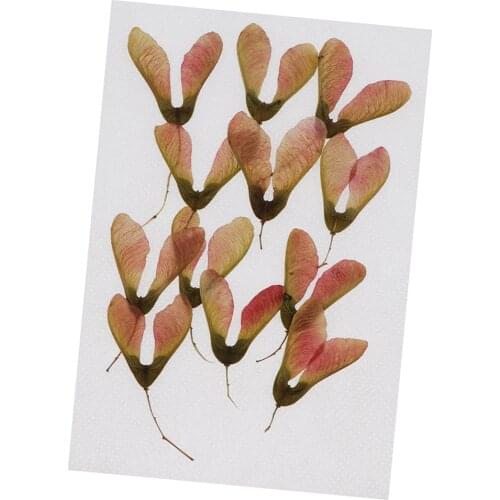 1 Bag 12Pcs Real Dried Pressed Flowers for Art Craft DIY Silicone Coaster Resin Molds, 2.5-3.5cm