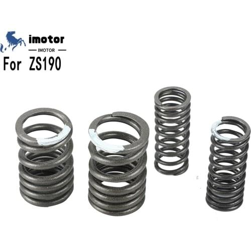 Motorcycle Intake Exhaust Valve Springs For Zongshen 190cc Z190 W190 ZS1P62YML-2 Electric Starter Engine Dirt Pit Bike Atv Quad