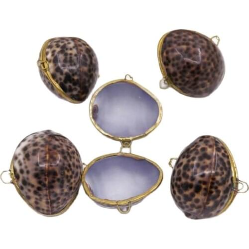 5 PCS Natural Conch Shell Box Mother of Pearl Jewelry 2.36" 60mm