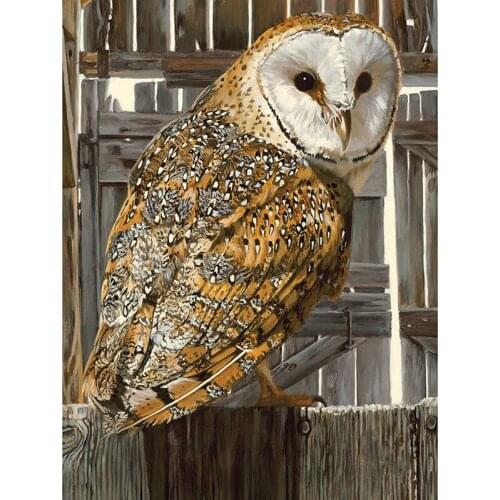 Full square&round diamond 5D DIY diamond embroidery Autumn owls diamond painting Cross Stitch Rhinestone mosaic home decoration