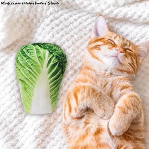 Pet Funny Creative Vegetable Catnip Toy Interactive Catnip Ball Cabbage Pepper Pet Photo Tool Corn Cucumber Carrot Bunny Toy