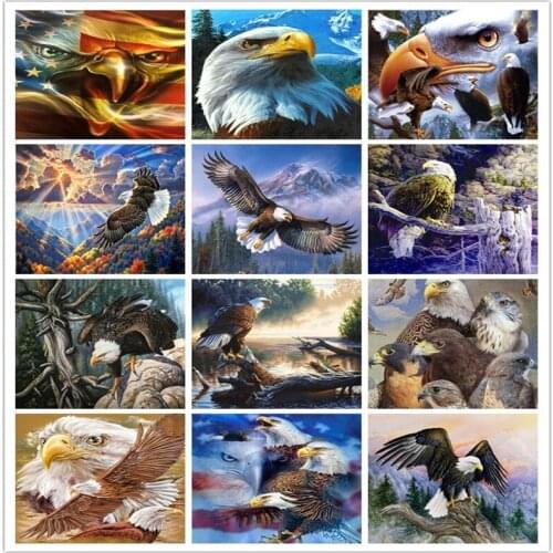 TOUOILP Full Square Diamond 5D DIY Diamond Painting "Animals Eagle" 3D Embroidery Cross Stitch Mosaic Painting Home Decor