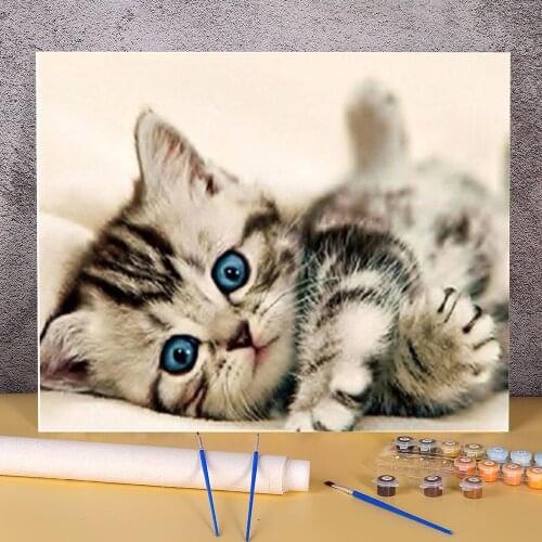 Animal Cat Coloring By Numbers Painting Package Oil Paints 40*50 Canvas Painting Handmade For Children Wall Art For Wholesale