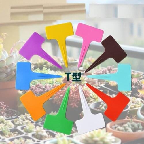2000PCS Cheap 6*10cm Plastic Plant T Type Tags Markers Nursery Garden Labels Stick Sign Flowers Vegetables Plantings Label Tools
