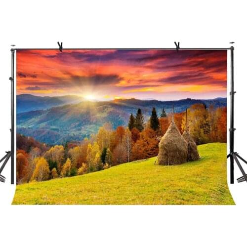 7x5ft Natural Scenery Backdrop Beautiful Natural Rural Scenery Photography Background and Studio Photography Backdrop Props