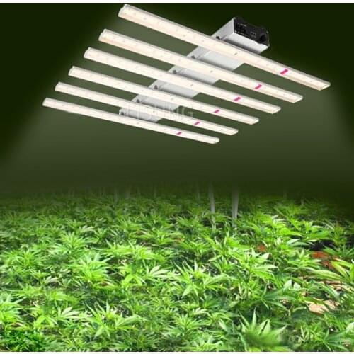 LISUNG Professional Lighting