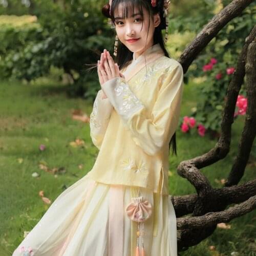 Embroidered Tops Student Hanfu Traditional Chinese Hanfu Costume Women Waist Skirt Elegant Daily Han Element Student Ancient Cos