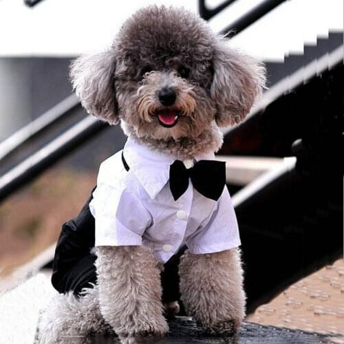 Puppy Wedding Party Jumpsuit Pet Dogs Cat Prince Tuxedo Clothing Coat Clothes Bow Tie Suit Apparels for Bulldog Chihuahua