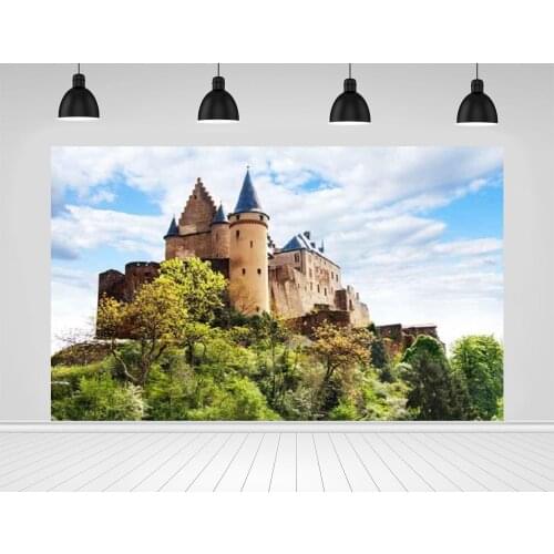 Scopiso Blue Sky The Castle Vinyl Background On Top Of Mountain Is Used For Travel Photography Backdrops Photo Studio Props