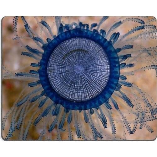 Blue Jellyfish Colors Button Macro Mouse Pad Customized Game Mouse mat Rectangle mouse mat 220mm*180mm*2mm