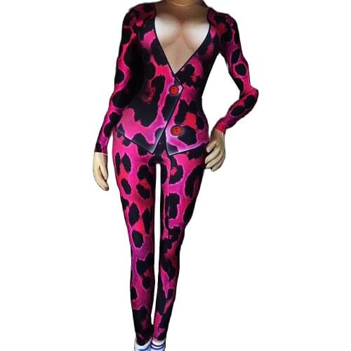 Fashion Leopard Print Tops Long Pants Women Two Pieces Set Evening Party Show Bodycon Outfit Singer Performance Stage Wear