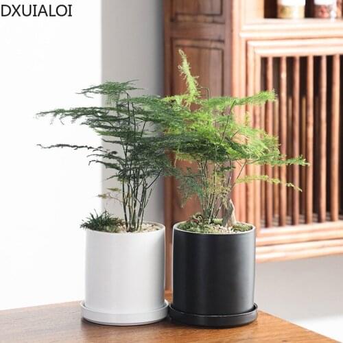 Home decoration ceramic fleshy flower pots Nordic style simple cylindrical modern black and white matt fleshy green plant pots