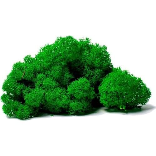 Epoxy Master Artificial Compositions