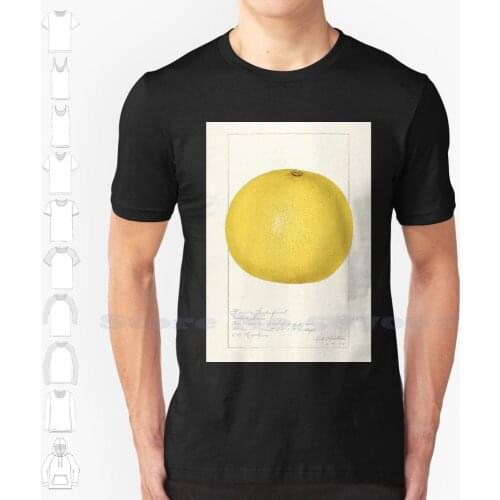 Grapefruit (Citrus Paradisi)(1919) By Amanda Almira Newton Cool Design Trendy T-Shirt Tee Grapefruit Tangelo Citrus Joule